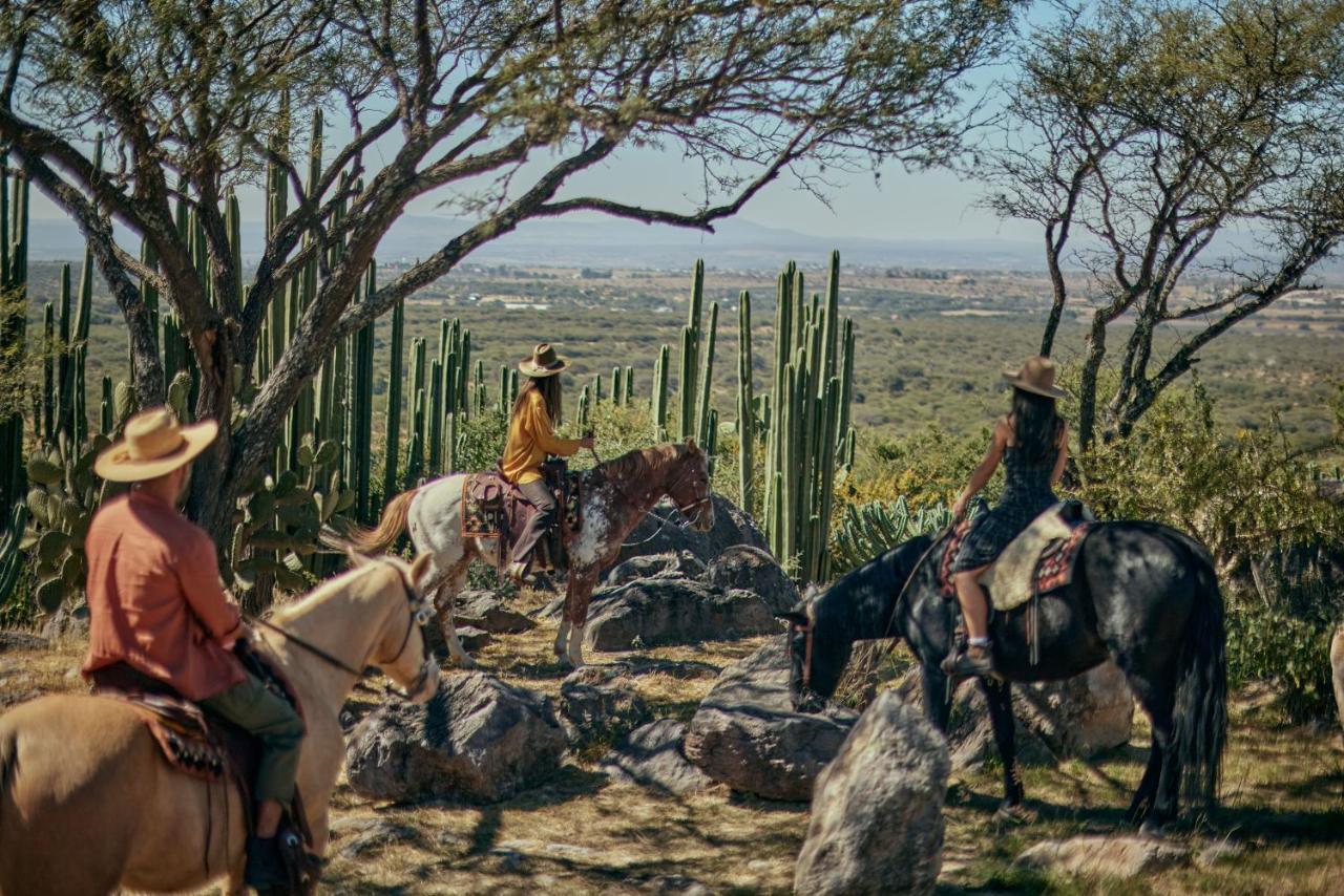 Our Habitas San Miguel De Allende Luaran gambar